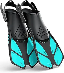 Fins
